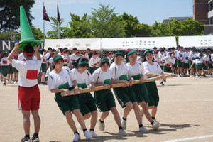 Sdsc09604