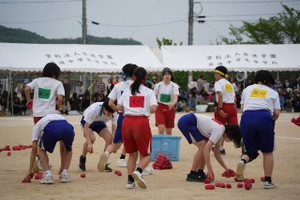 Dsc06315